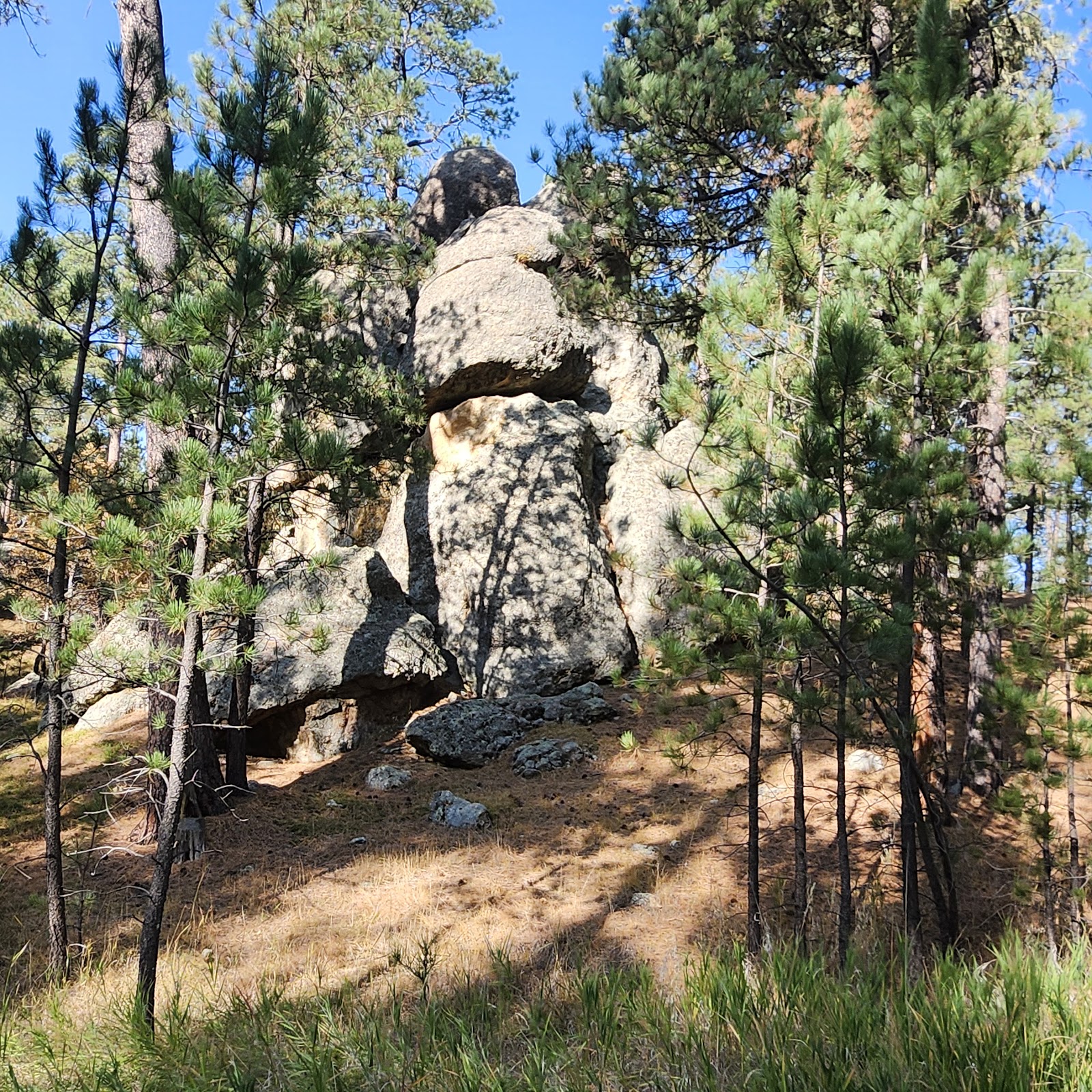 Bismark Lake Campground