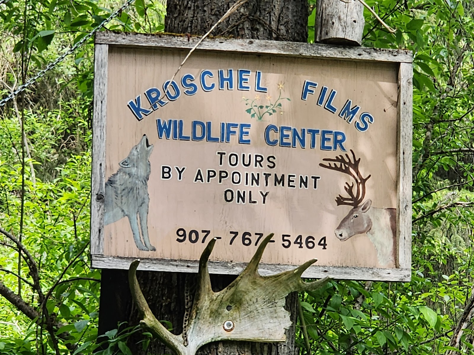The Kroschel Wildlife Center