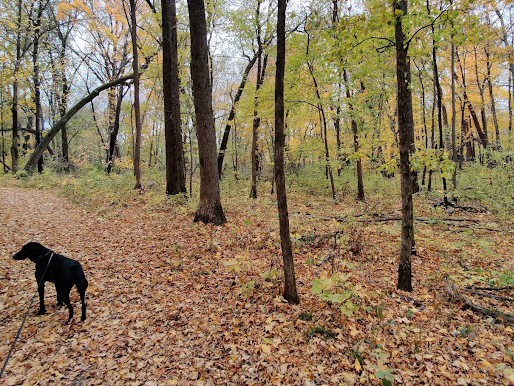 Lake Louise State Park Campground