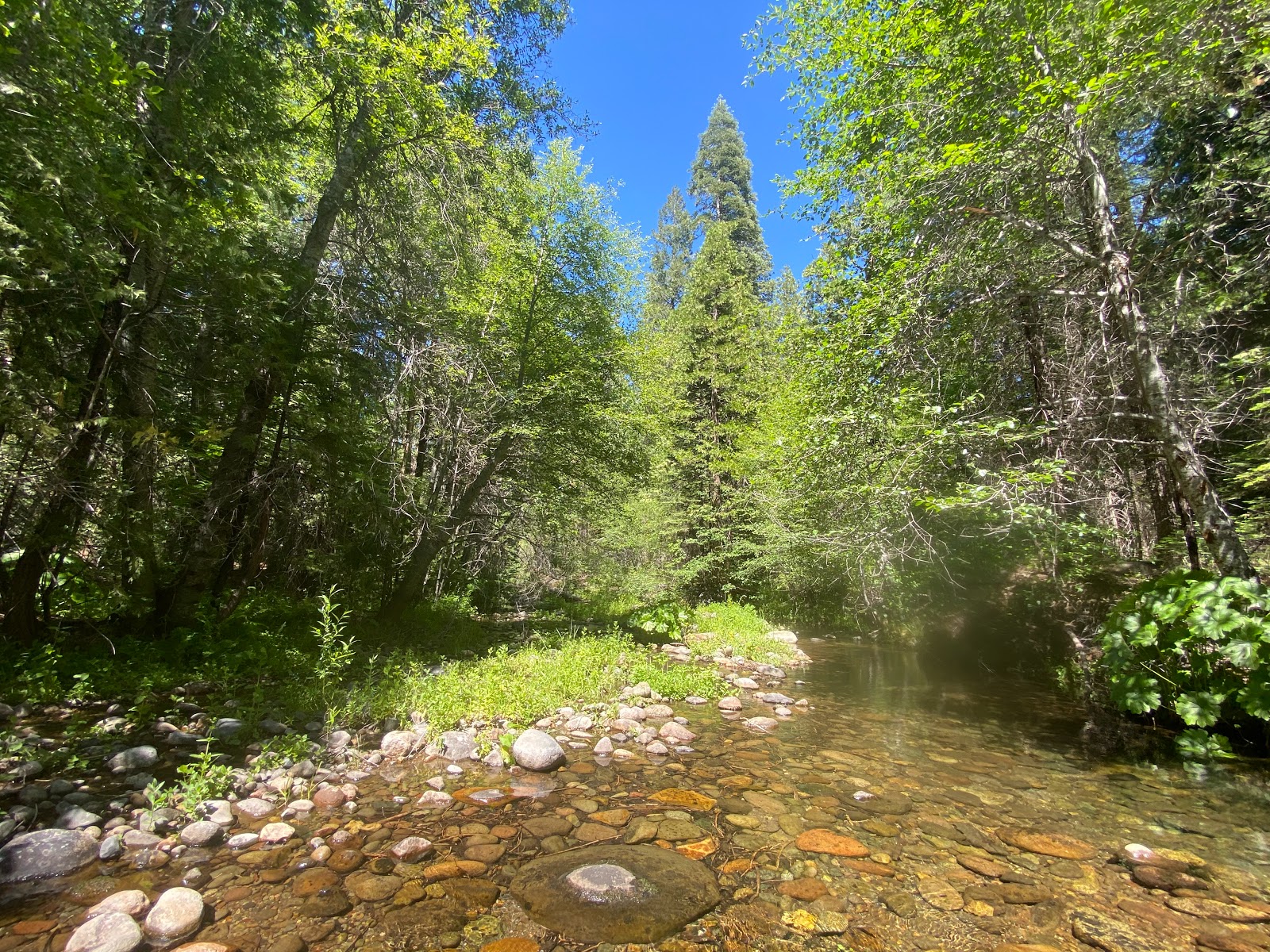 Middle Meadows Group Campground