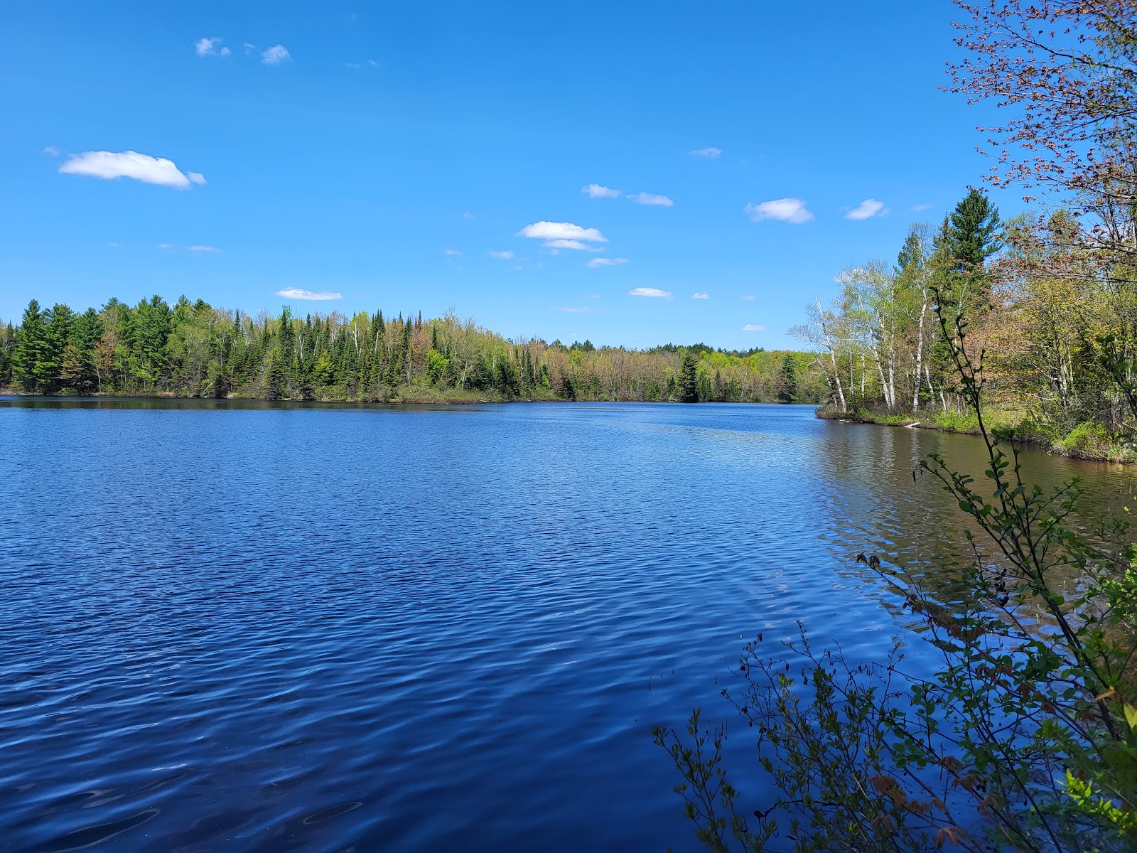 Lake Three NF Campground