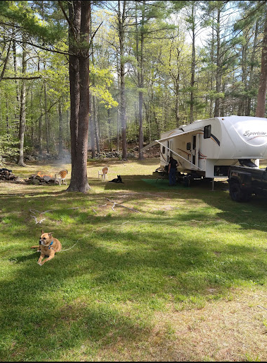 Circle 'C' Campground, Inc