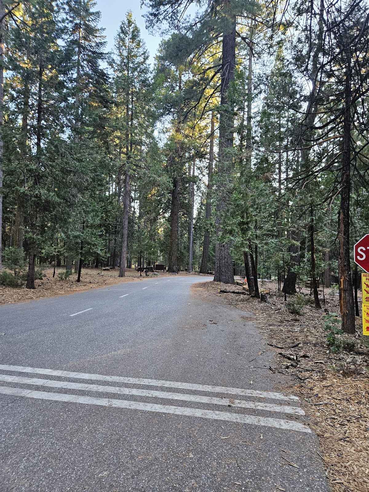 White Cloud Campground