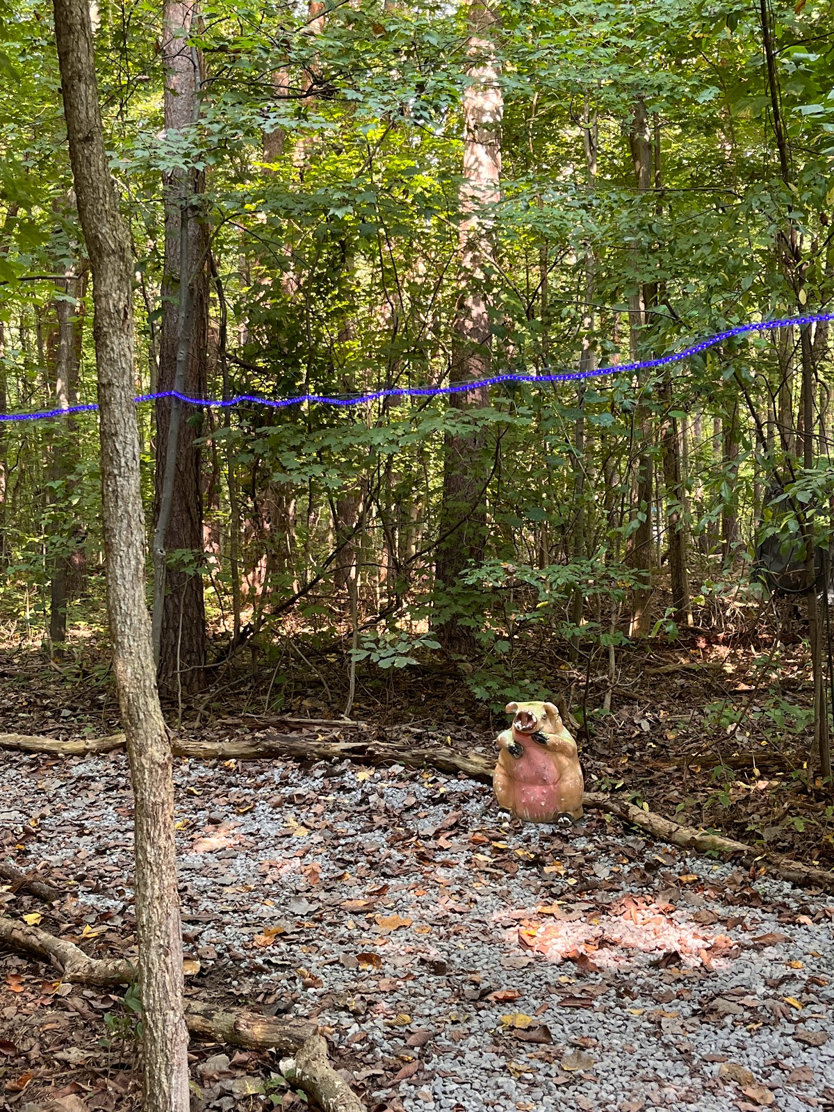 Freedom Valley Park & Campground