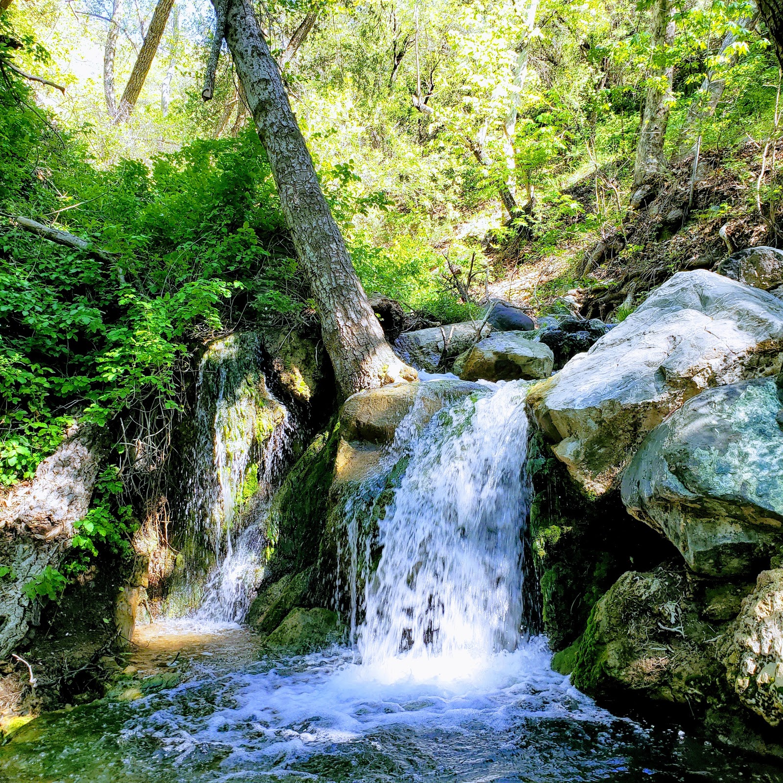 Davy Brown Campground