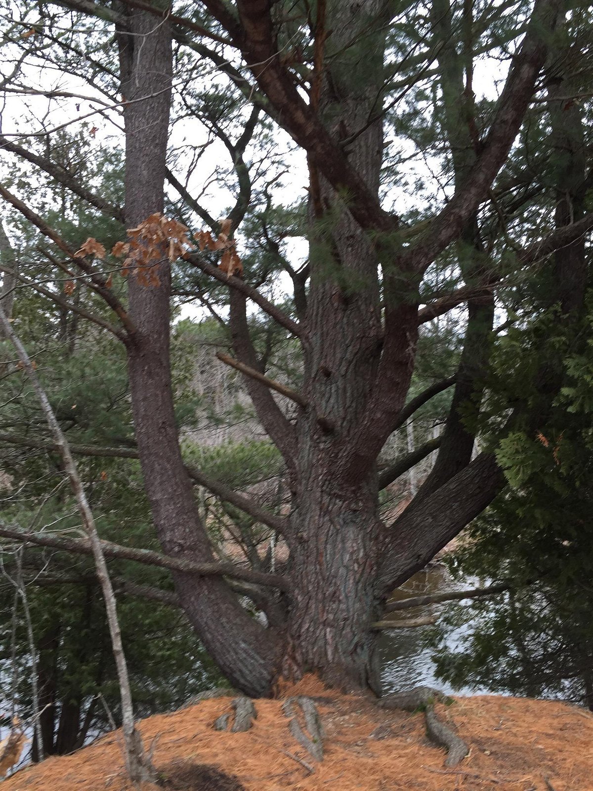 Deerfield Nature Park