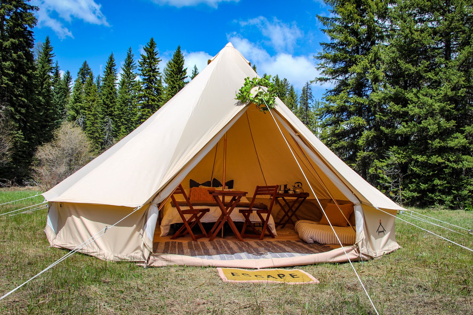 White Pine Camping Co.