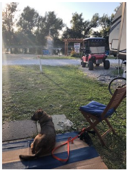 Grass Lake Marina and RV Park