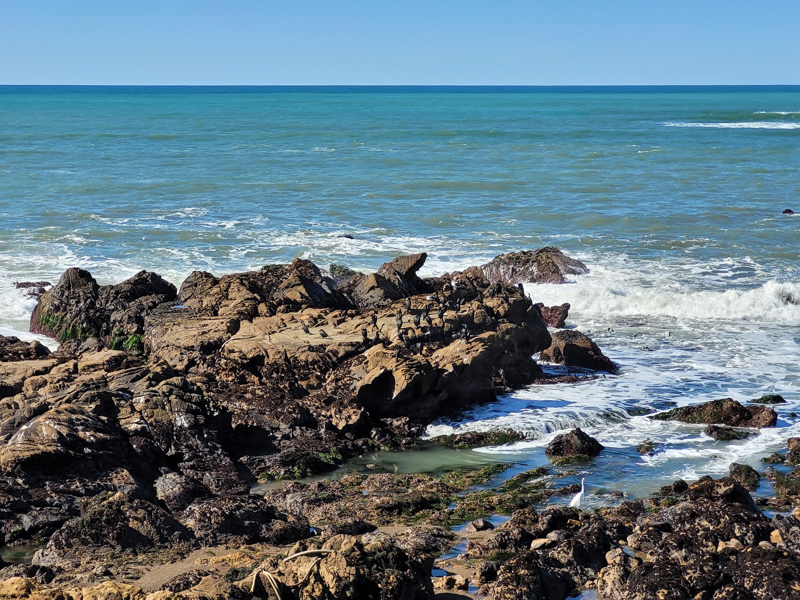 San Simeon State Park