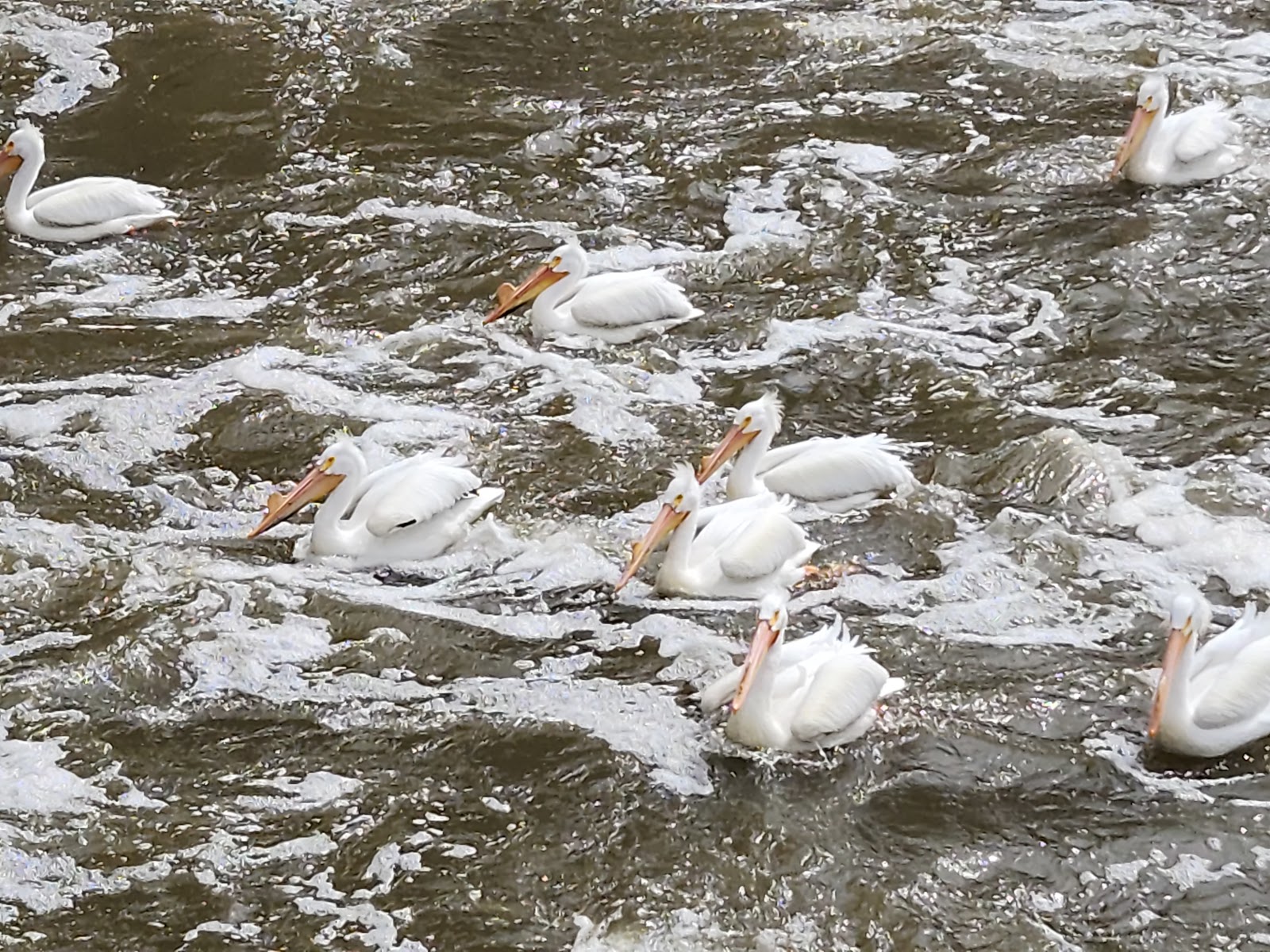 Tailwater West Campground