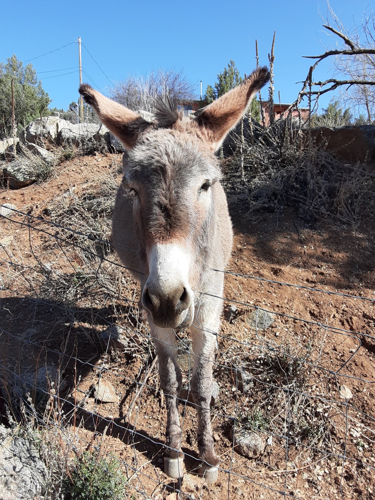 Ox Bow Estates RV Park