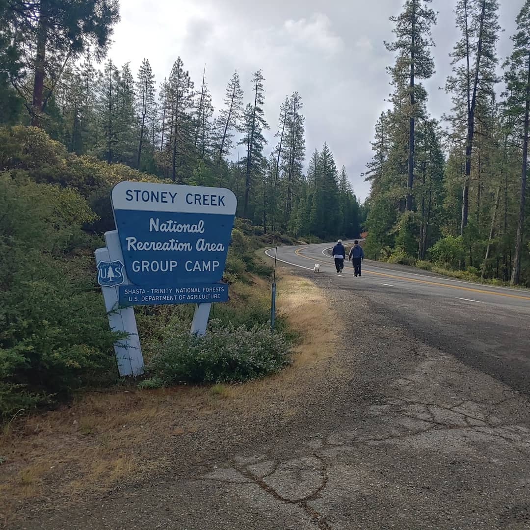 Stoney Group Shasta-Trinity