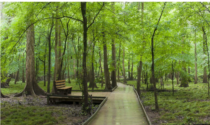 The Barnyard RV Park