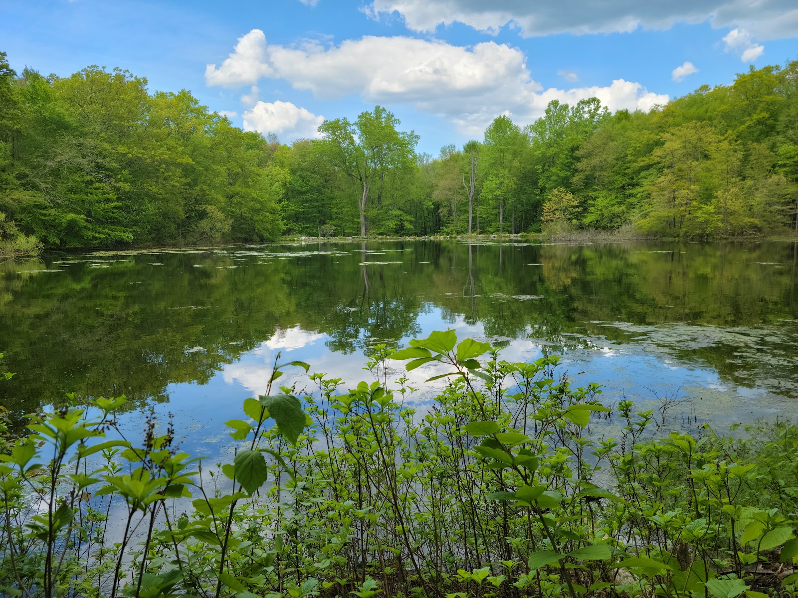 Weir Farm National Historical Park