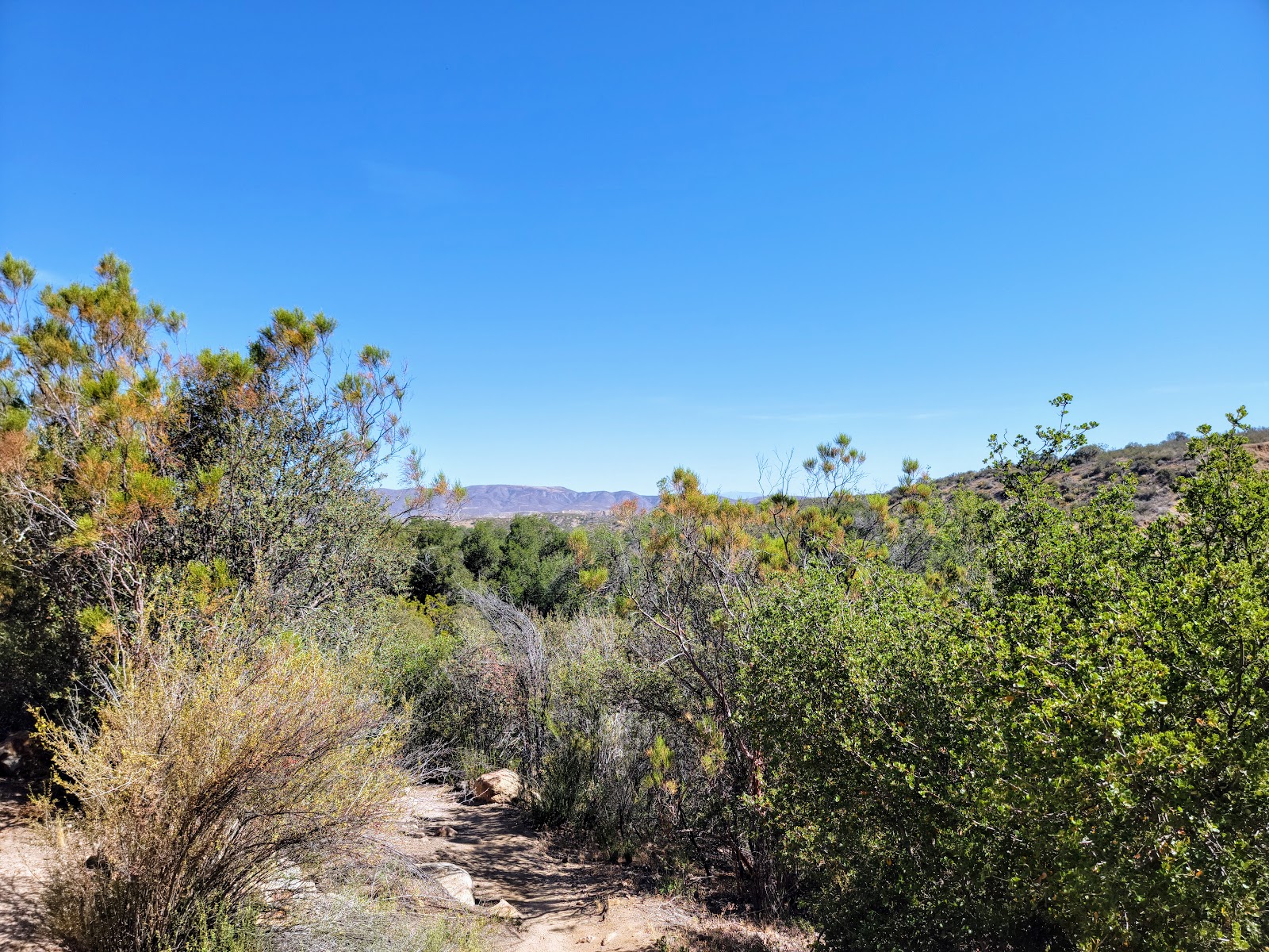 Dripping Springs Campground