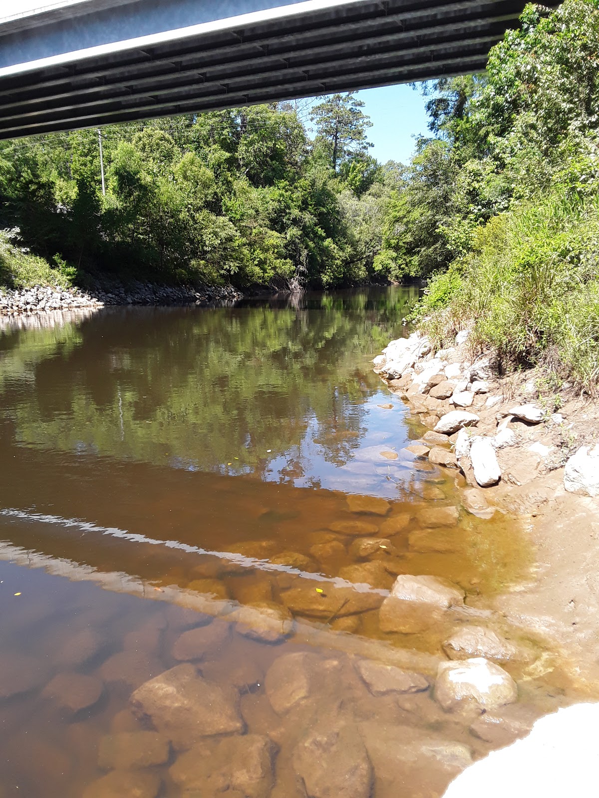 Janice Landing NF Campground