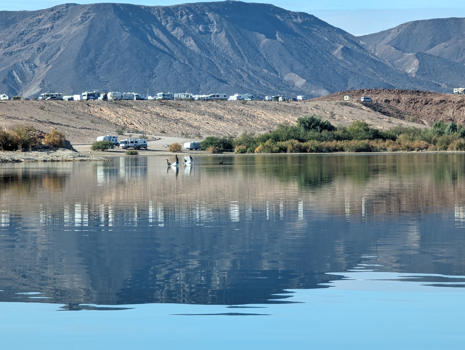 Senator Wash South Shore - Imperial Dam L TVA
