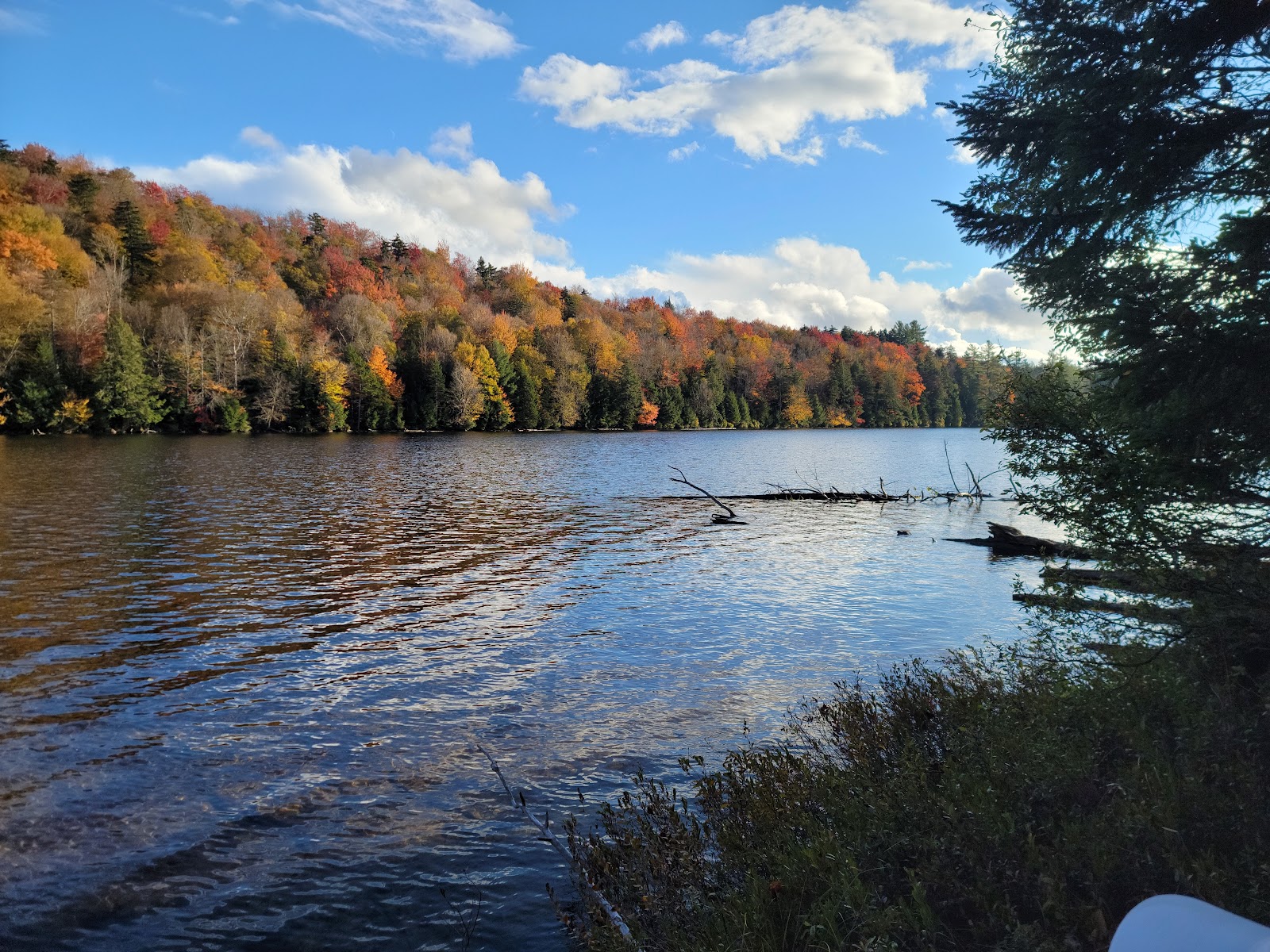 Trout Pond Campground