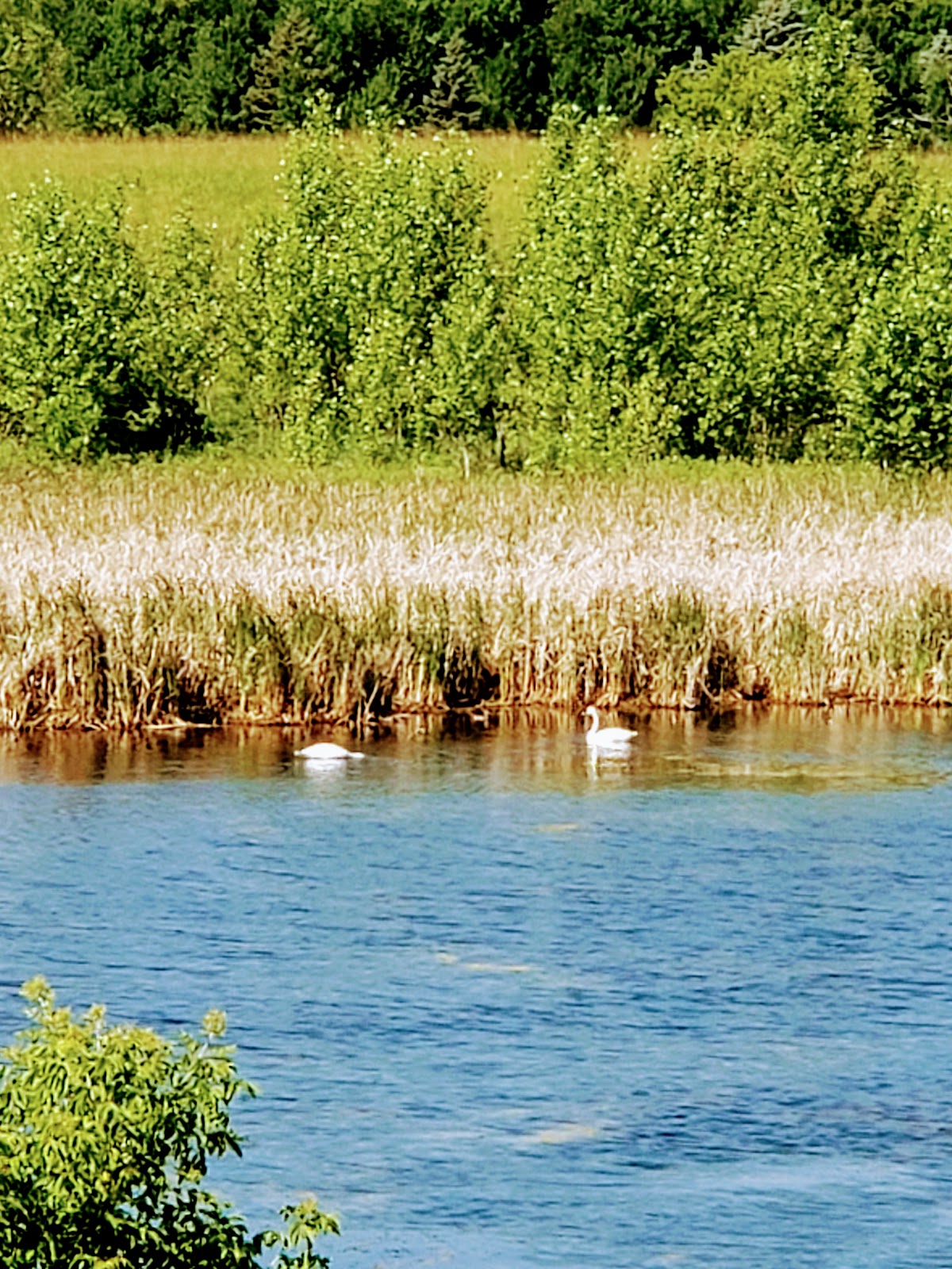 Turtle River State Park