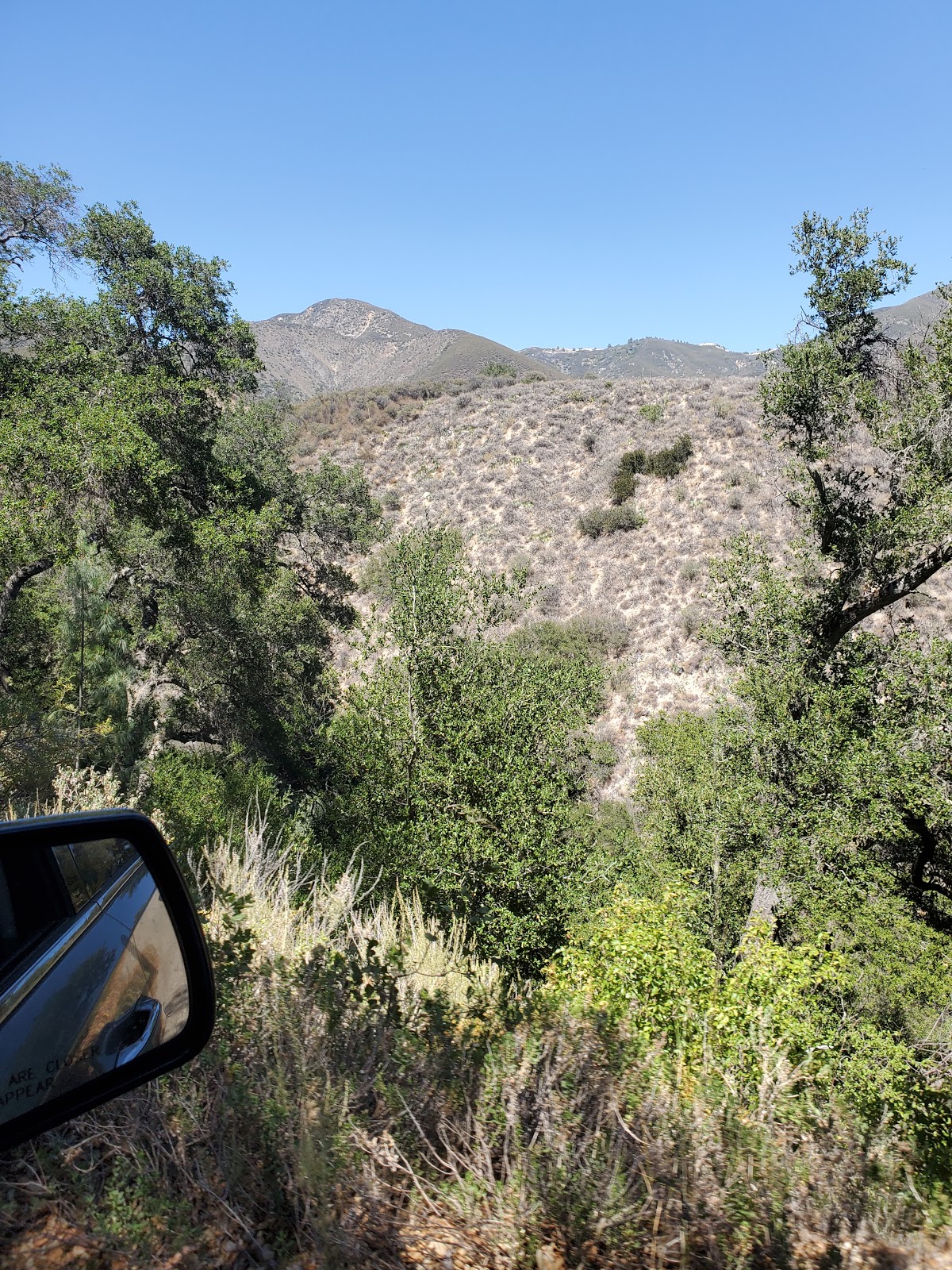 Davy Brown Campground