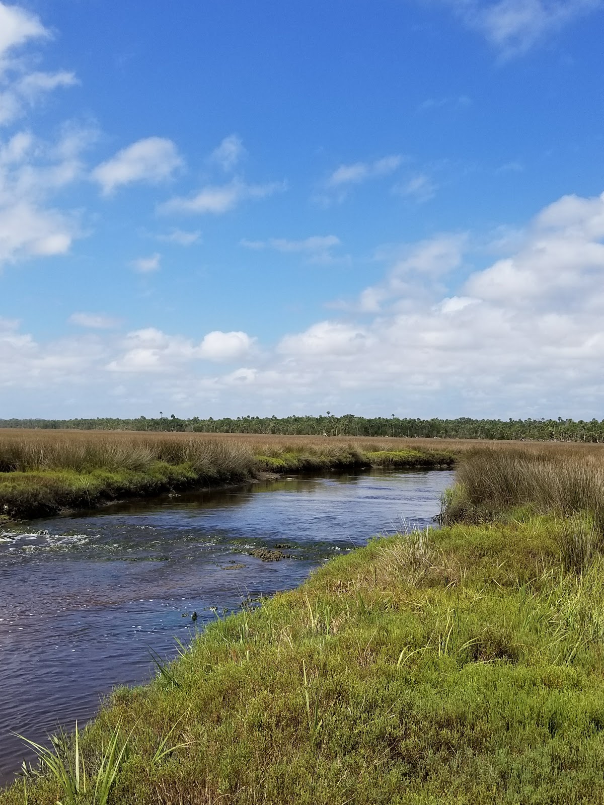 Waccasassa Bay Preserve State Park