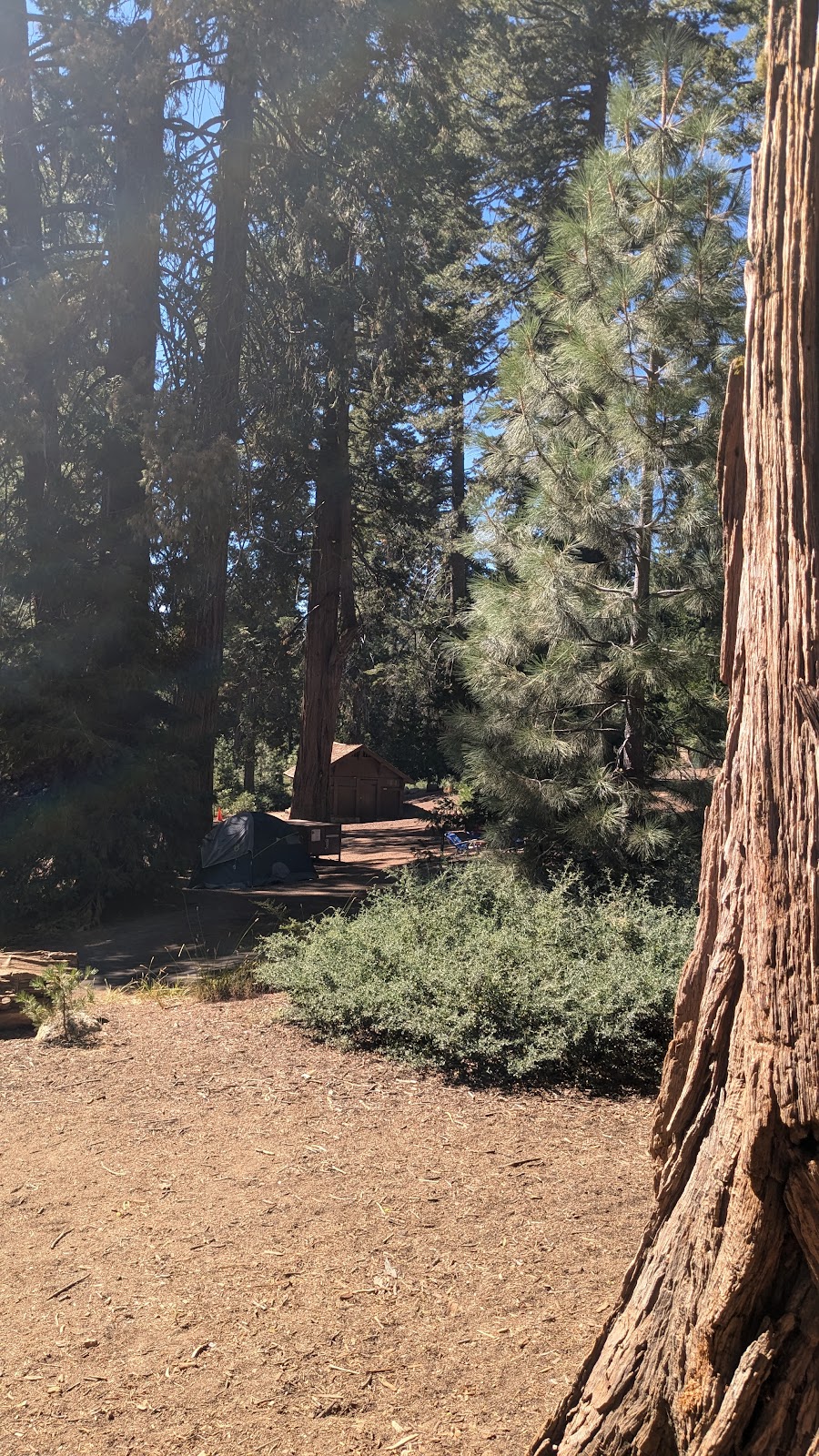Crystal Springs Campground - Kings Canyon National Park