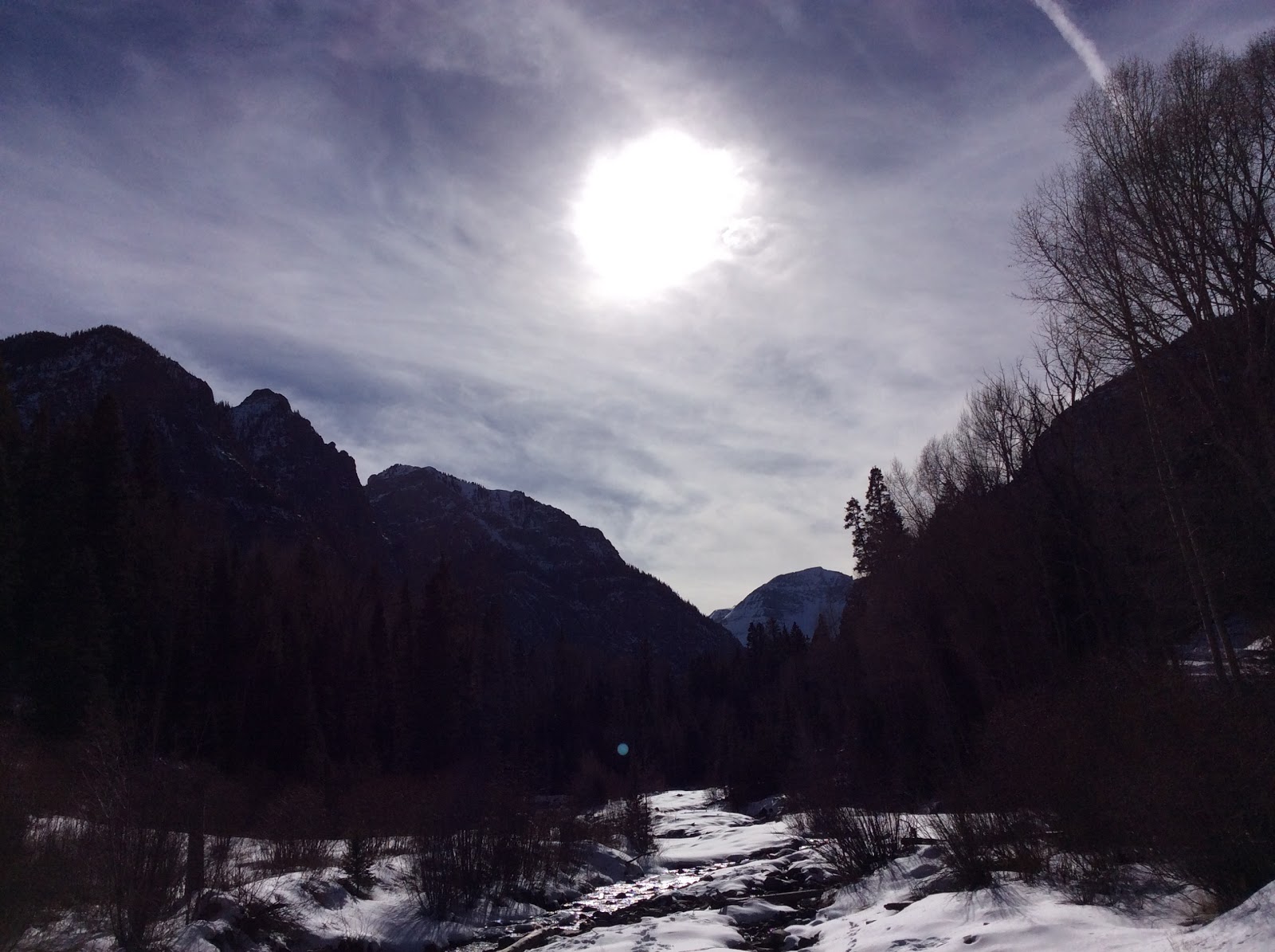 Thistledown Campground