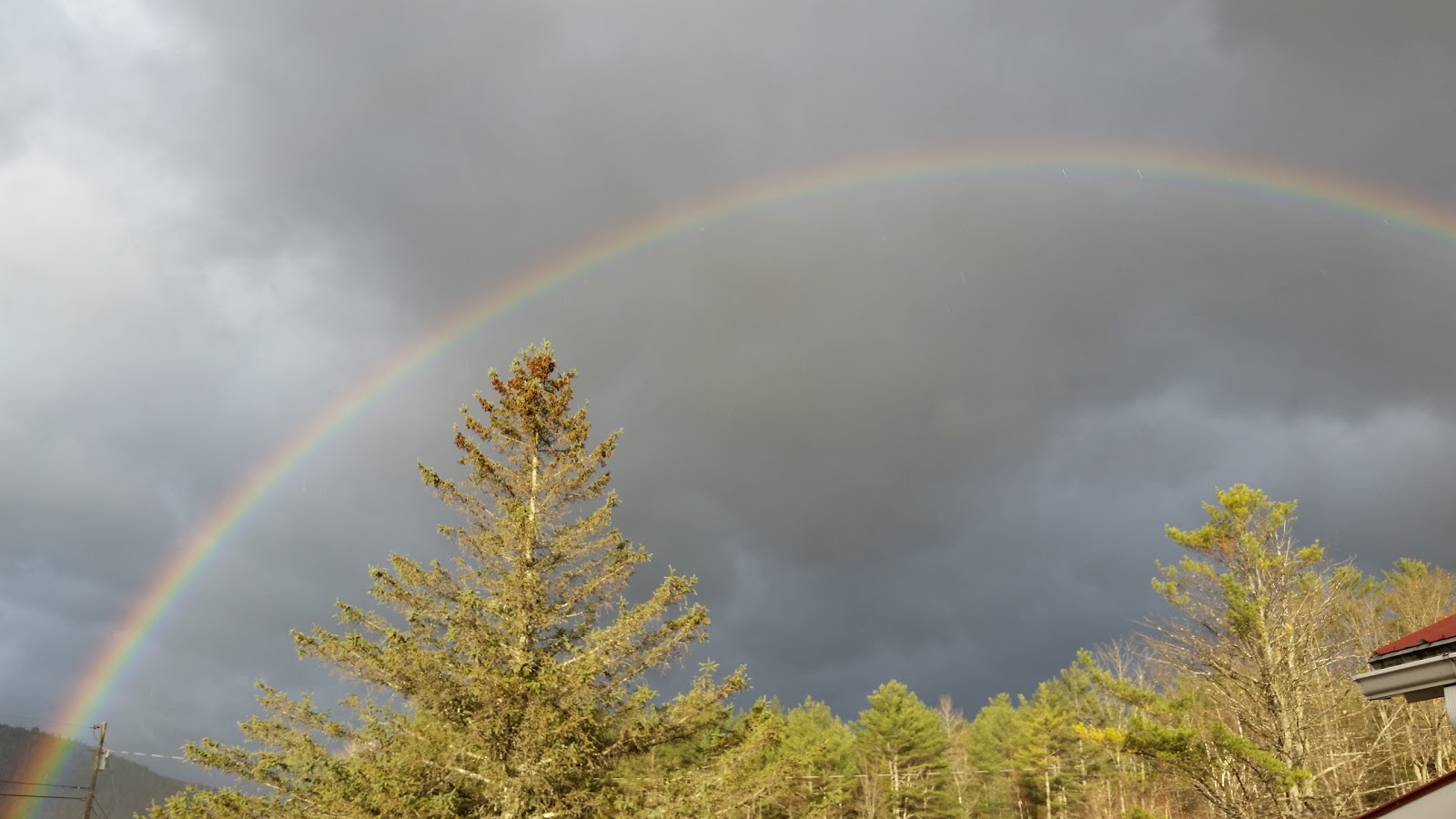 Stony Brook Recreation & Camping