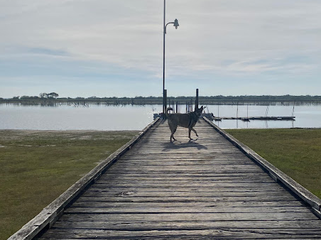 Mustang Hollow Campground