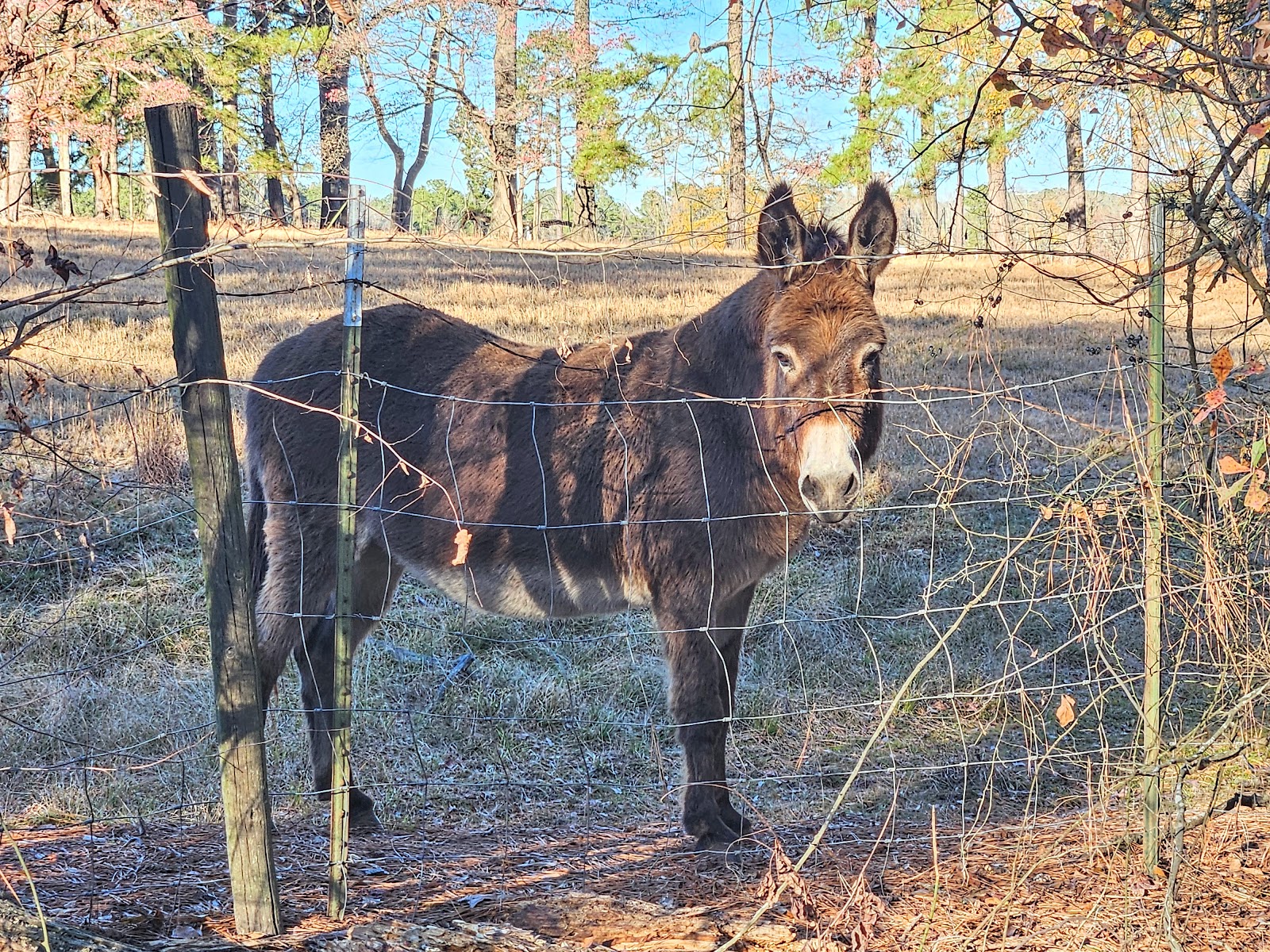 JB's RV Park & Campground
