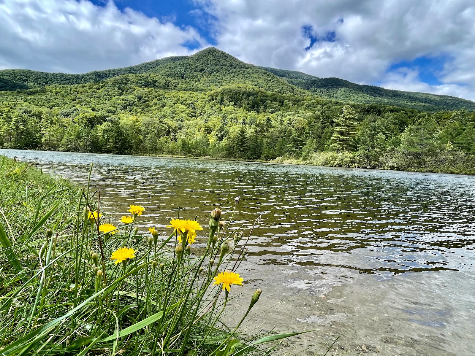 Douglas Trail Shelter