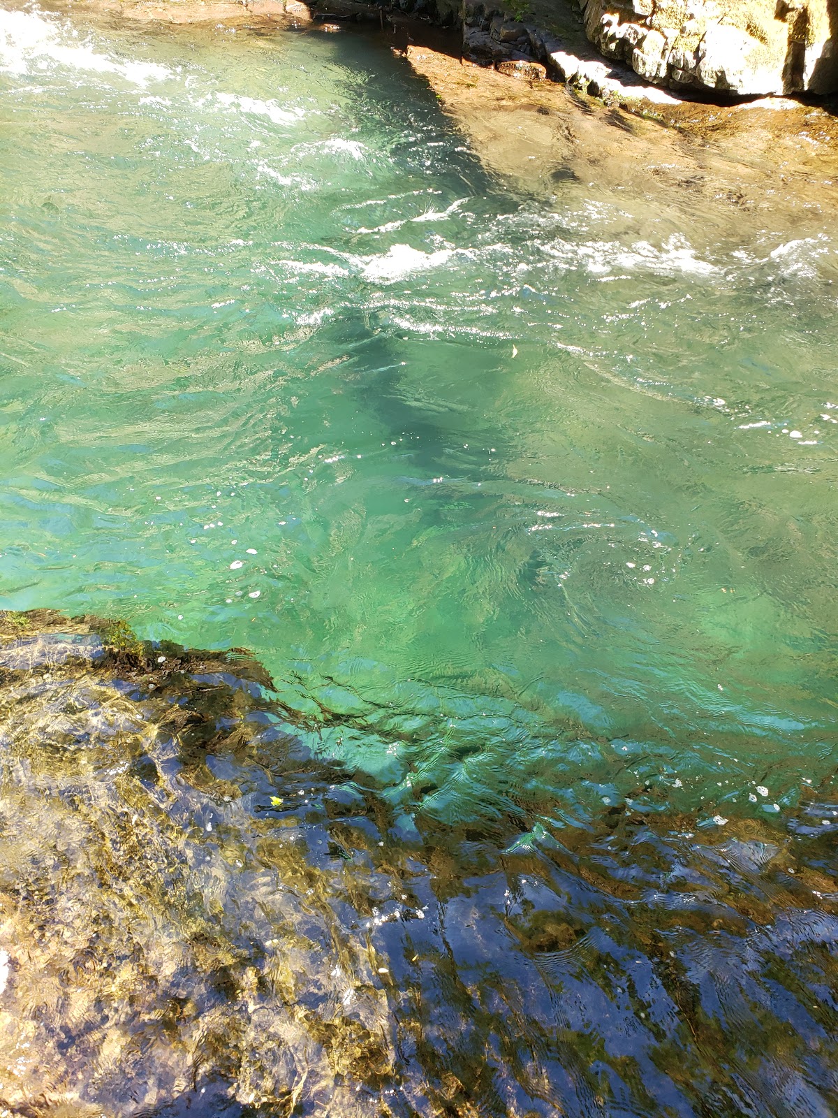 Breitenbush Lake Campground