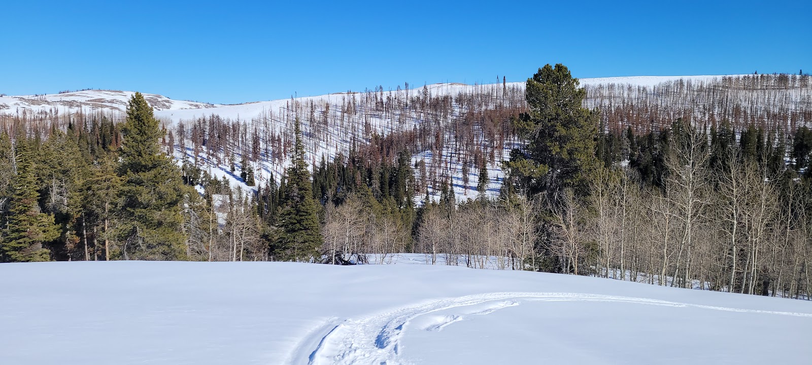 Porcupine Springs Campground