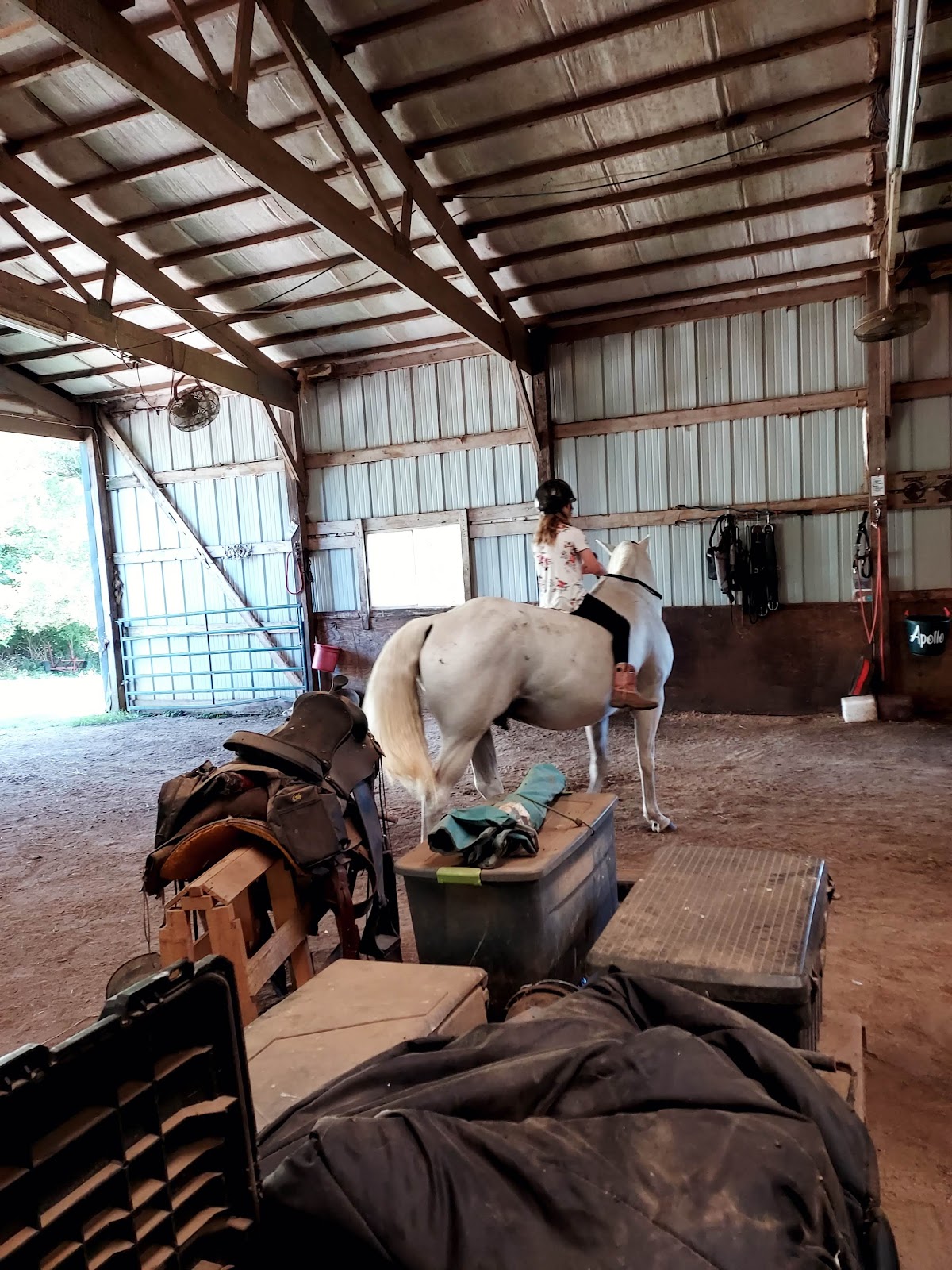 Deer Run Stables LLC