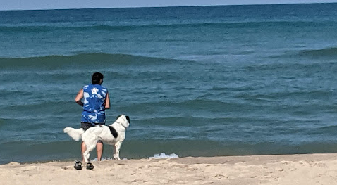 Warren Dunes State Park