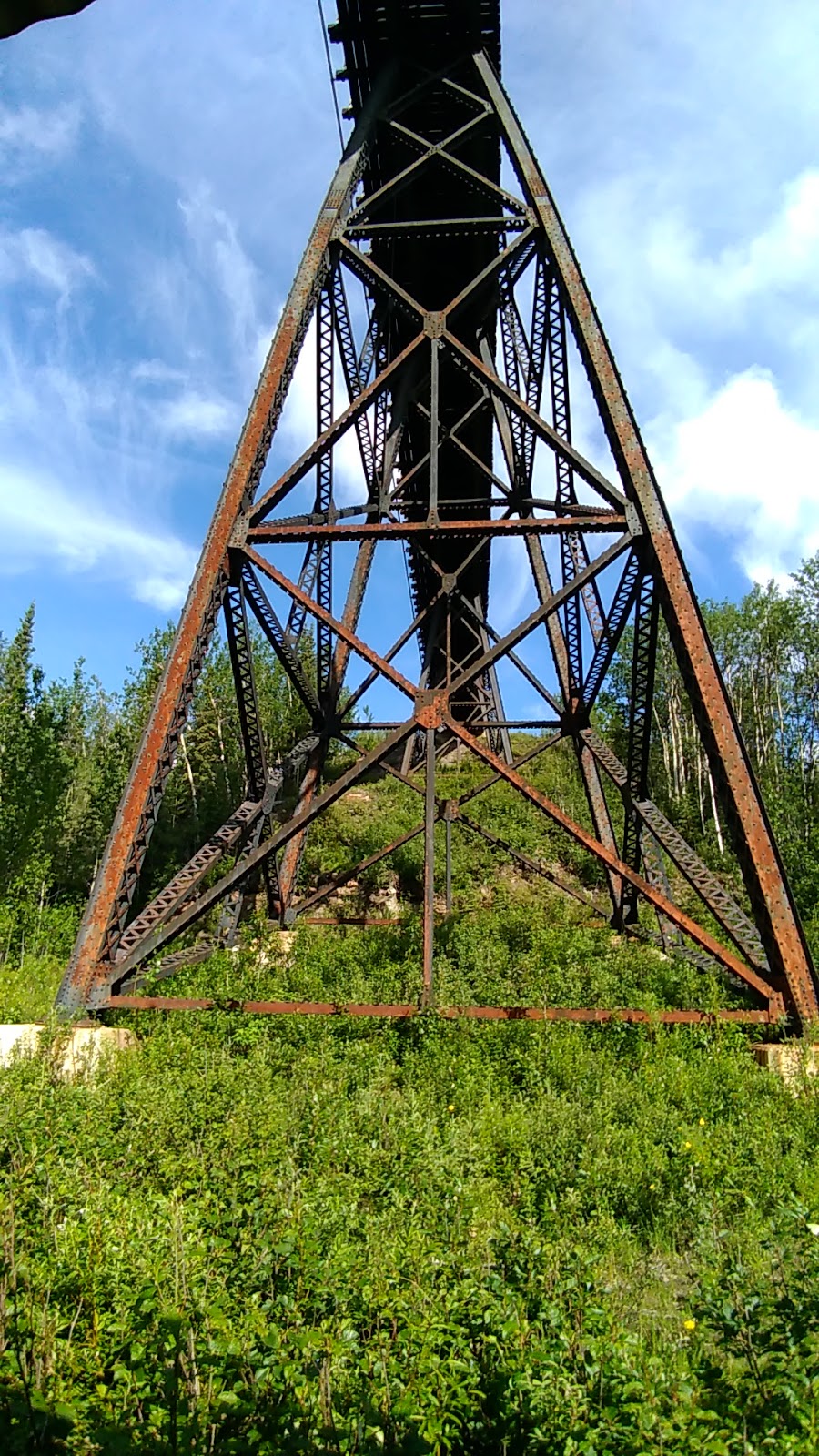 Teklanika River Campground - Denali National Park