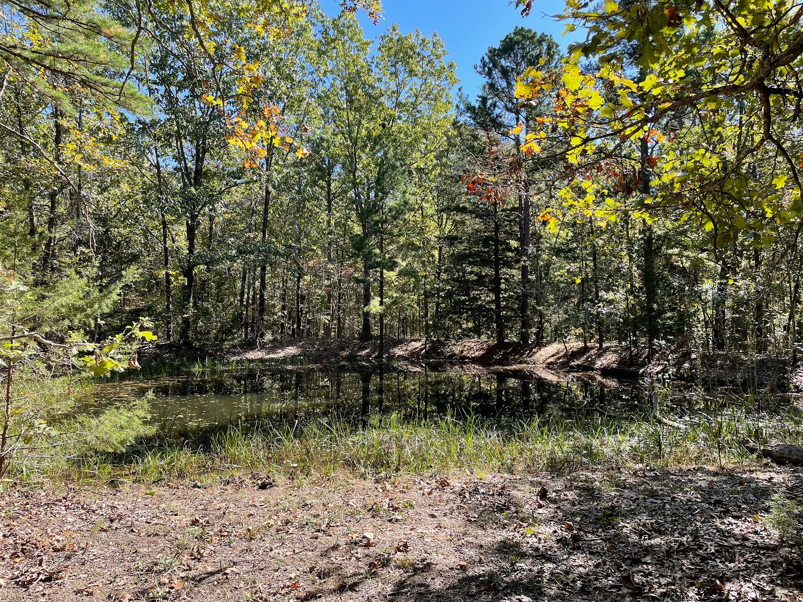 Paddy Creek Campground