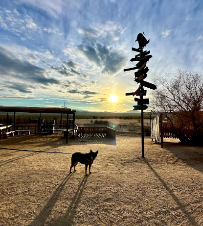Joshua Tree Lake, RV and Campground