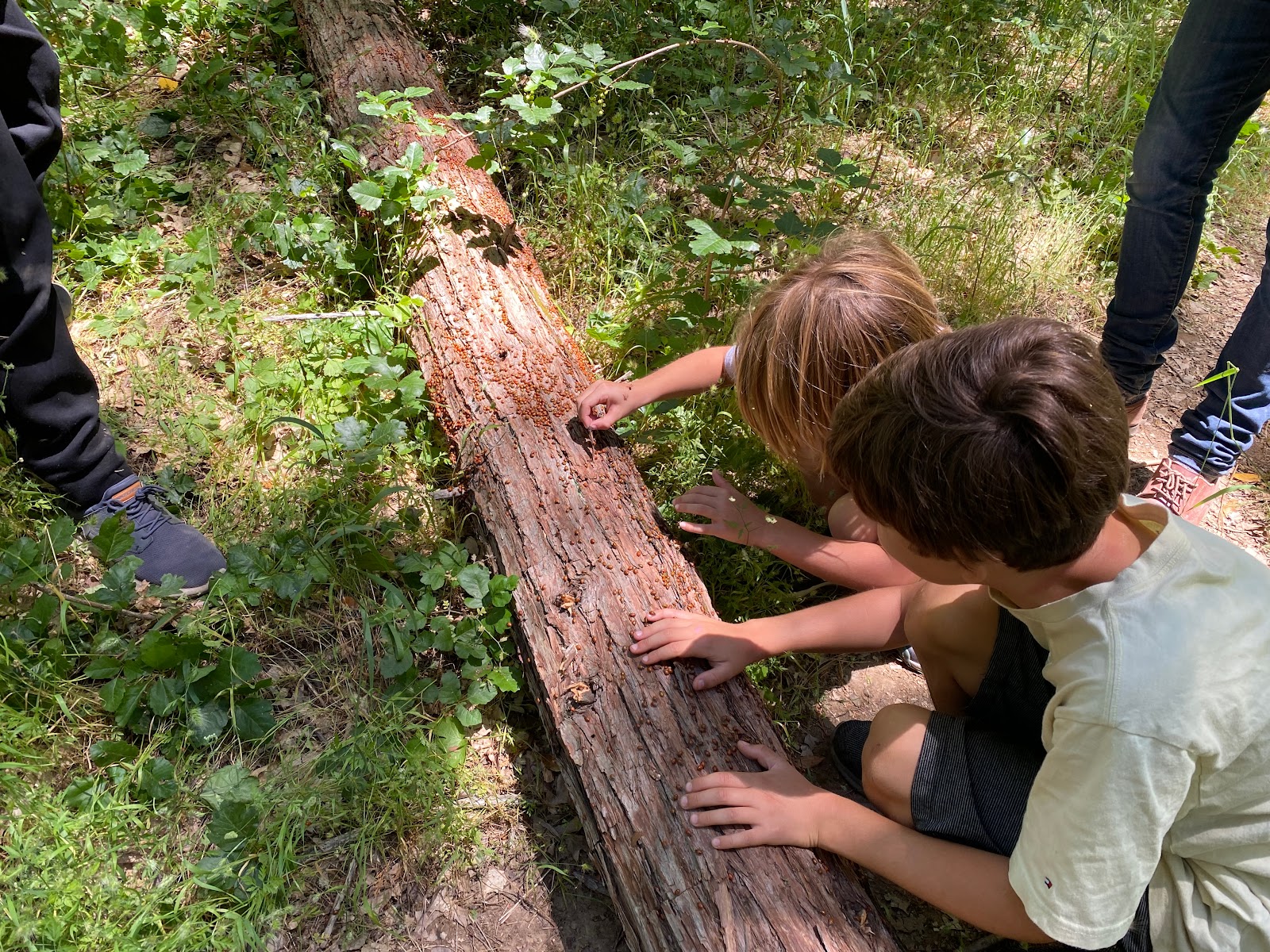 River Ranch Campground