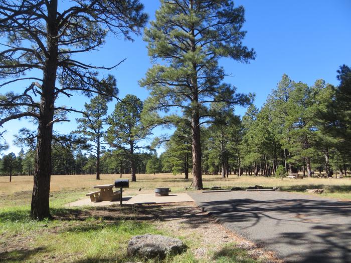 Pinegrove Campground