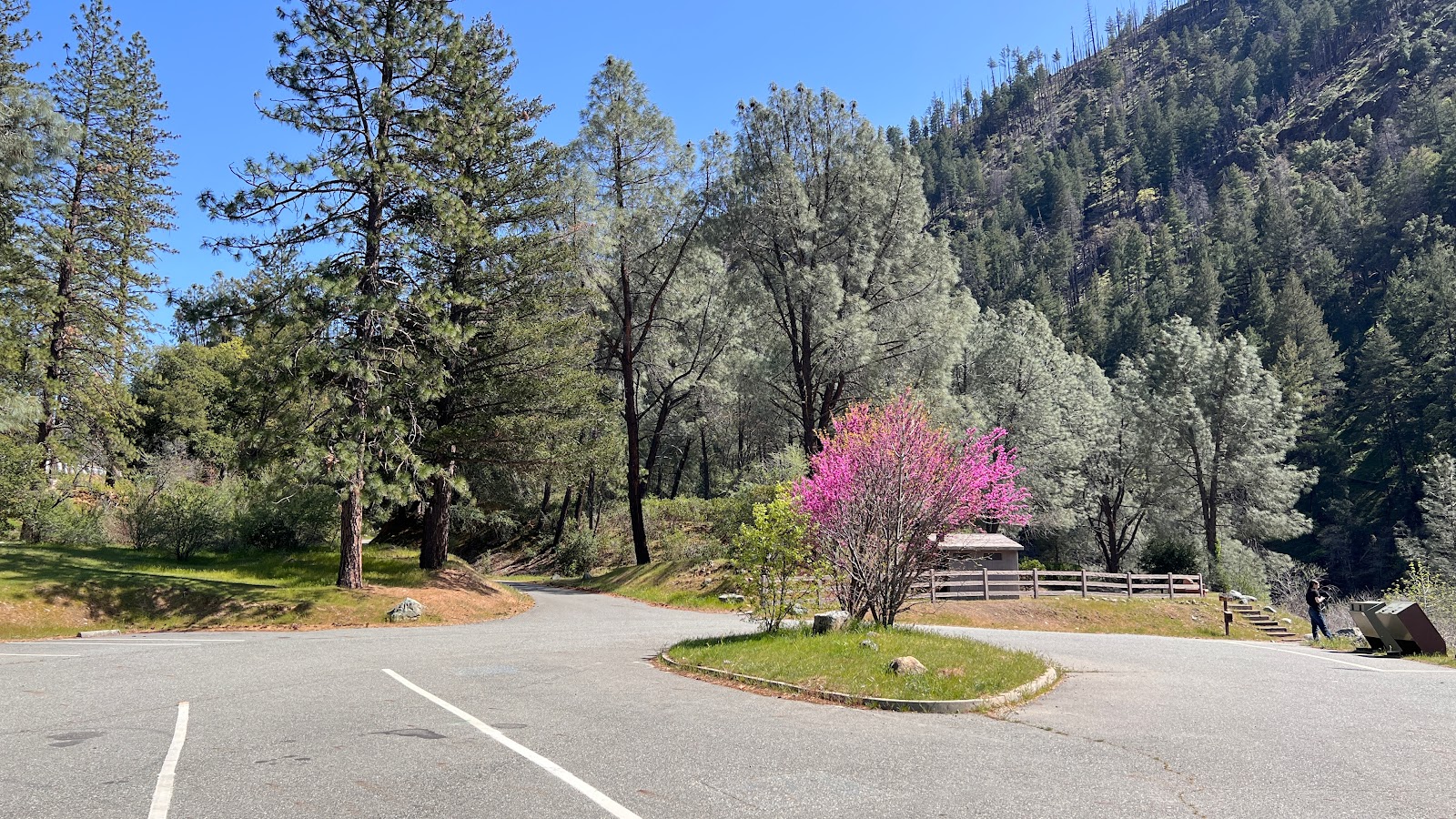 Pigeon Point Campground