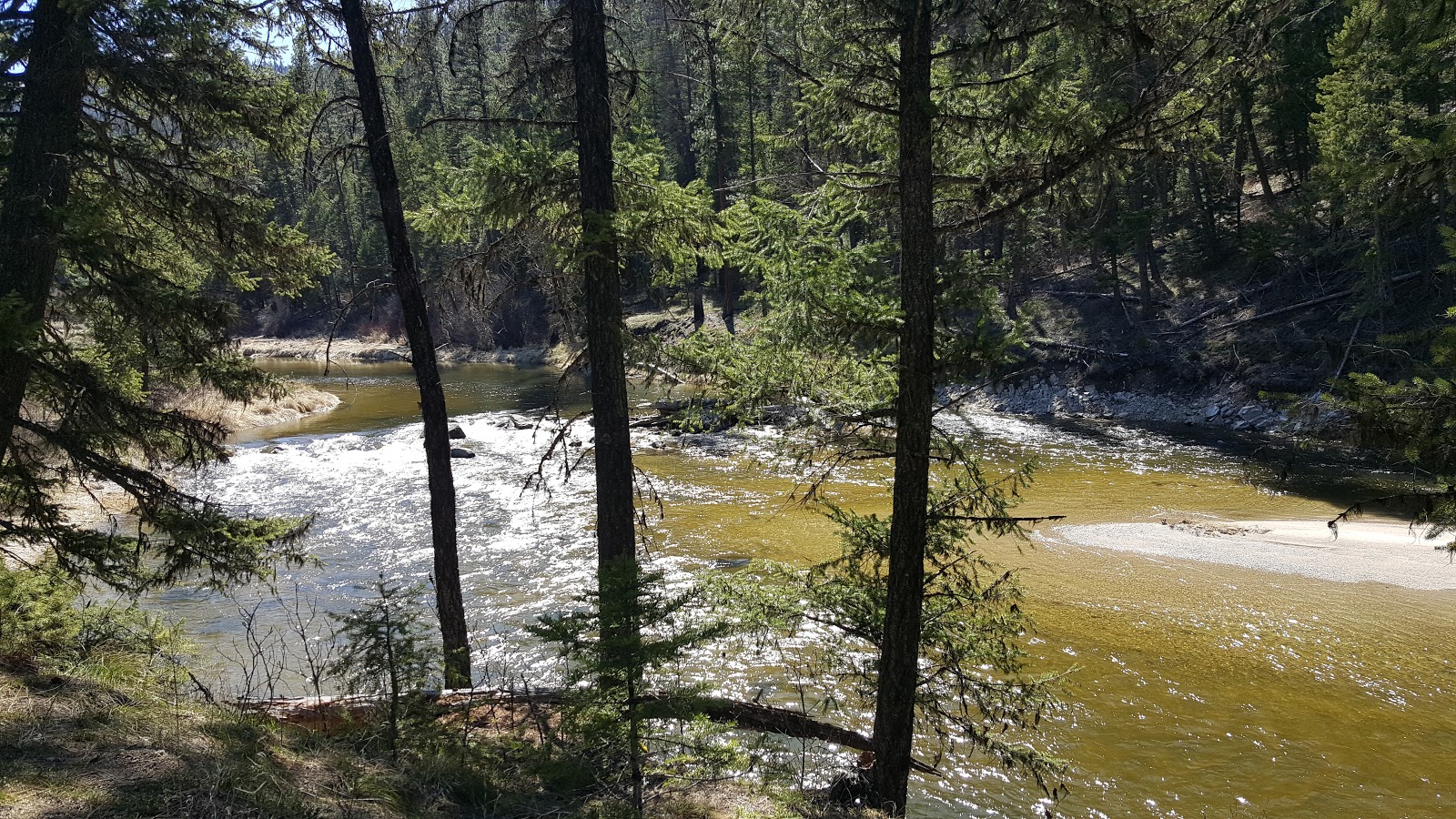 Poverty Flat Campground