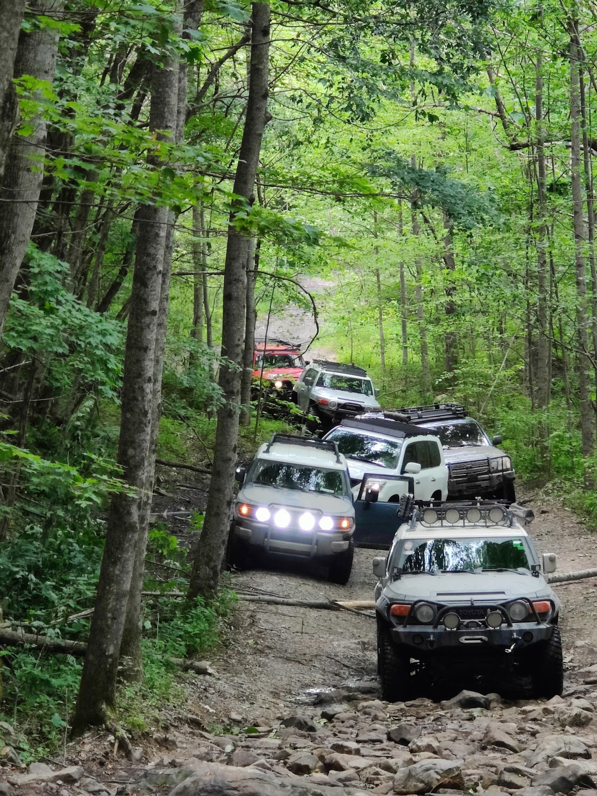 Windrock Park Campground