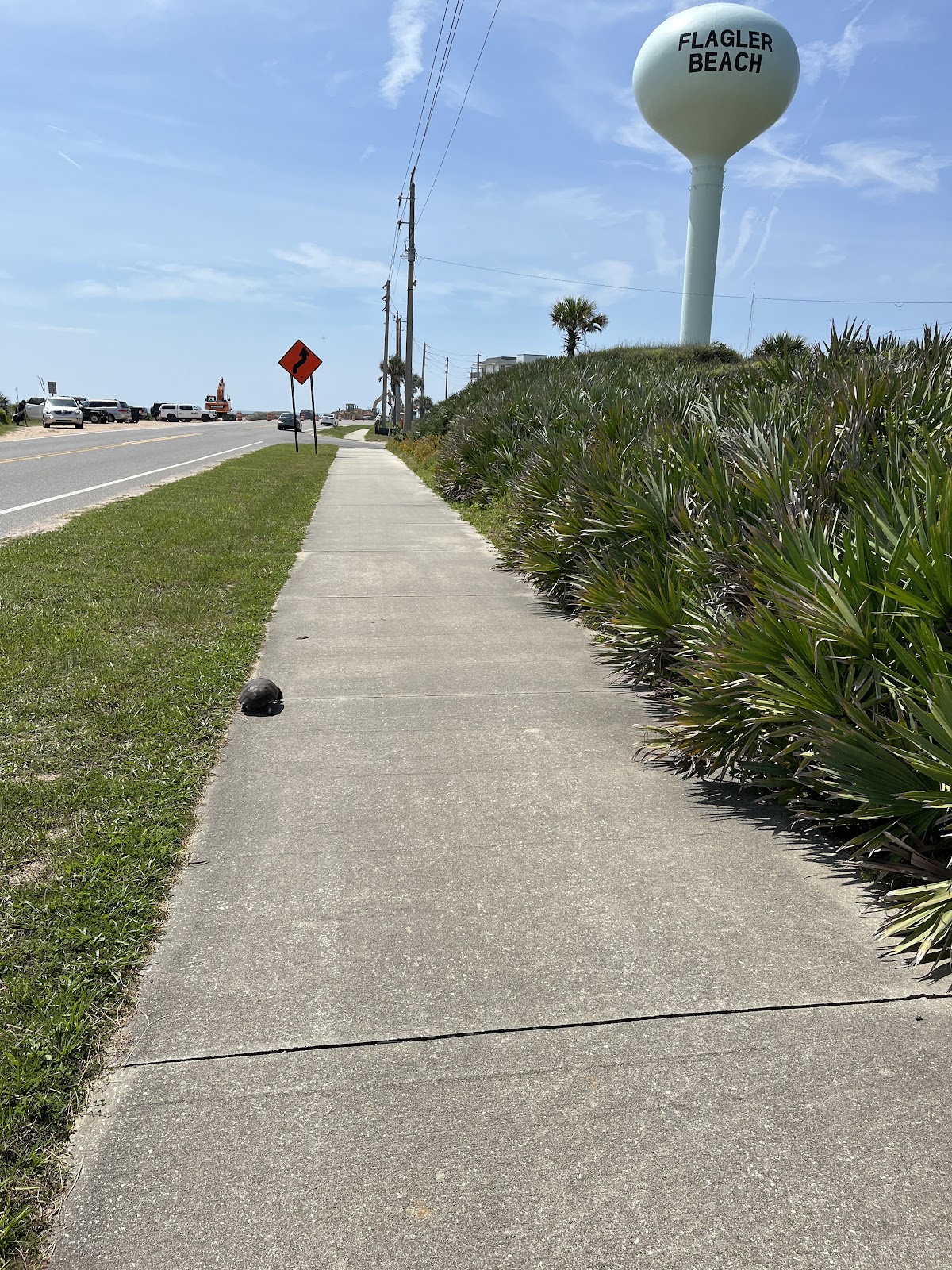 Gamble Rogers Memorial State Recreation Area