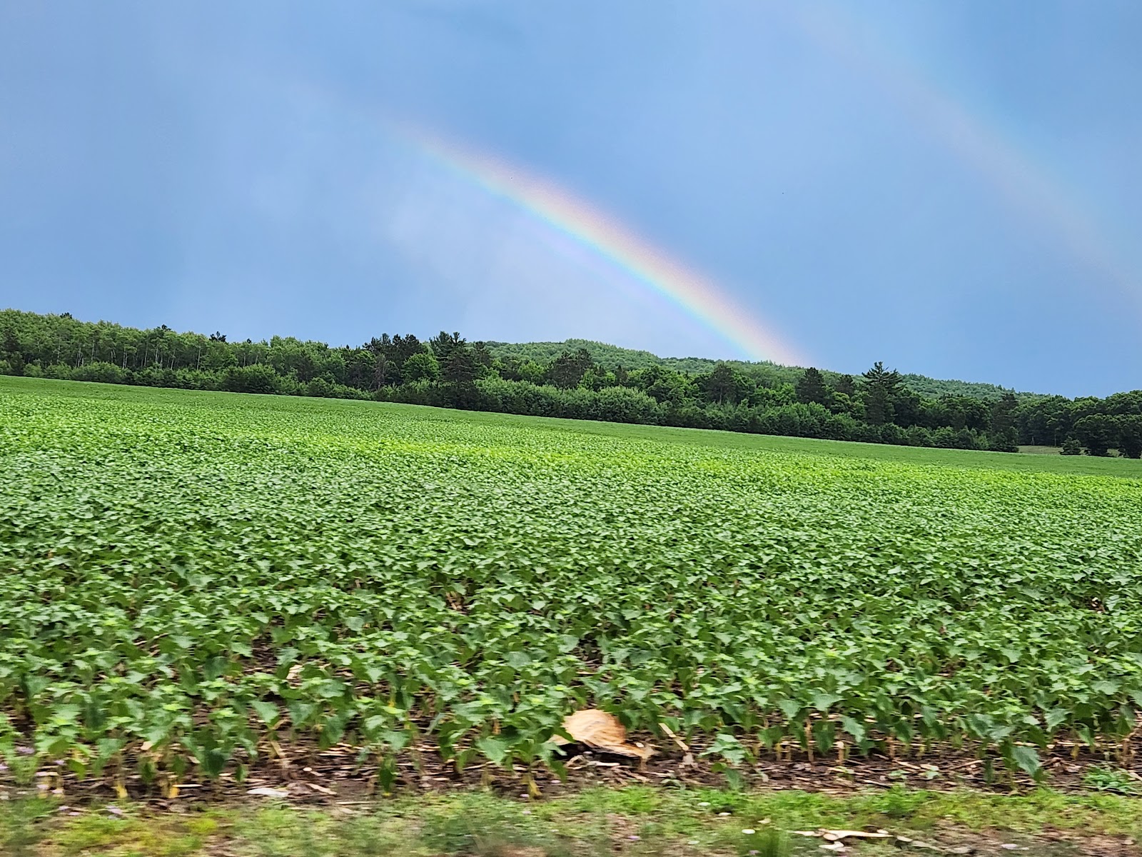Bay Park Resort & Campground