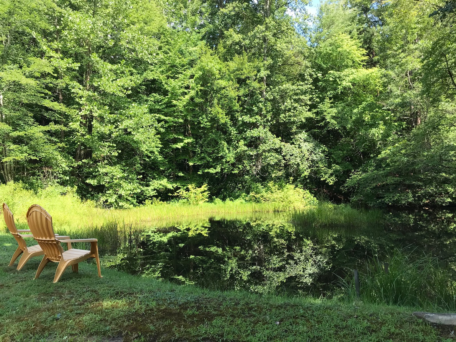 Holly Cove RV Resort