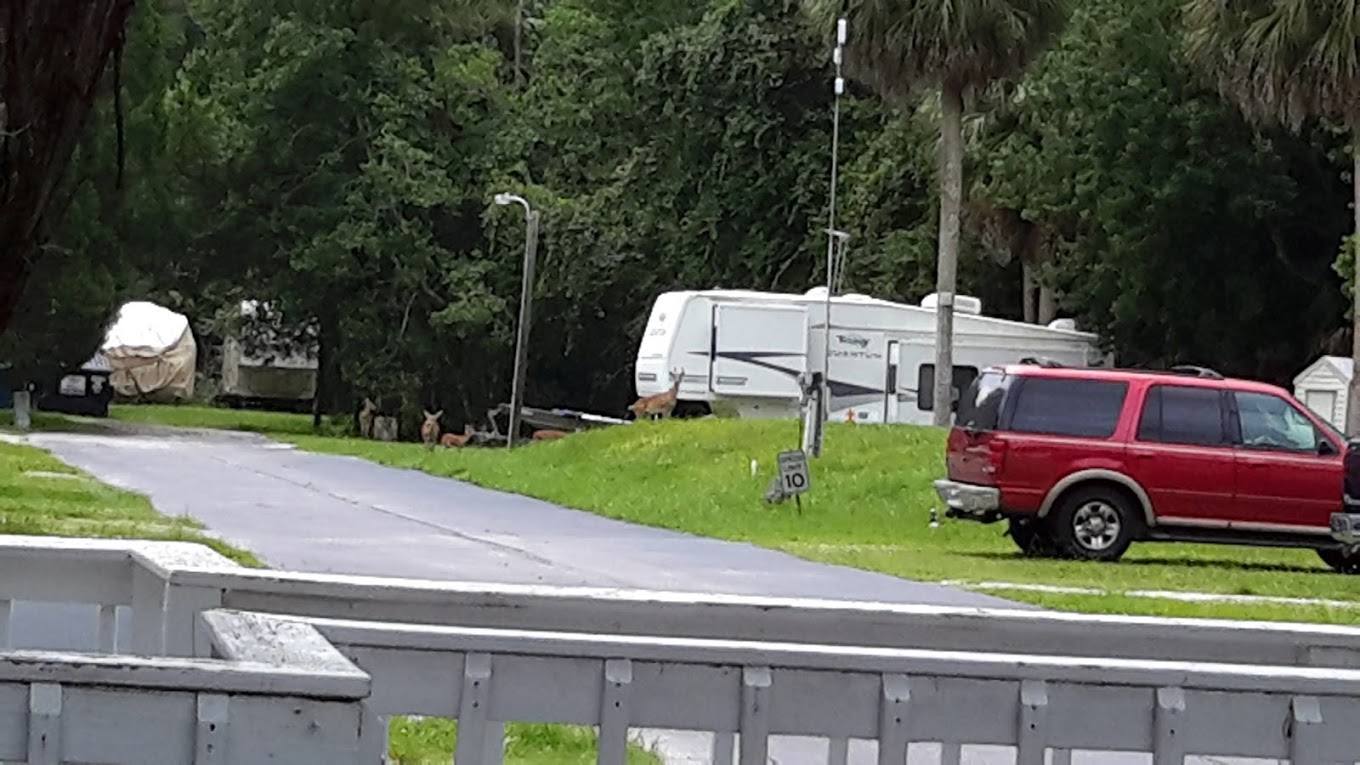 Chief Aripeka Travel Park