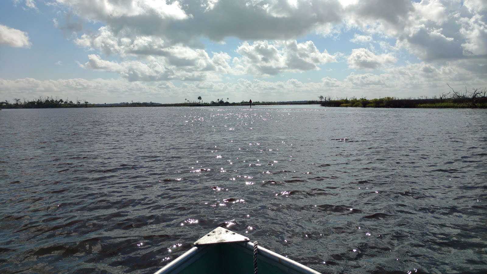Waccasassa Bay Preserve State Park