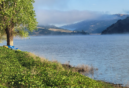 Coyote Lake-Harvey Bear Ranch County Park