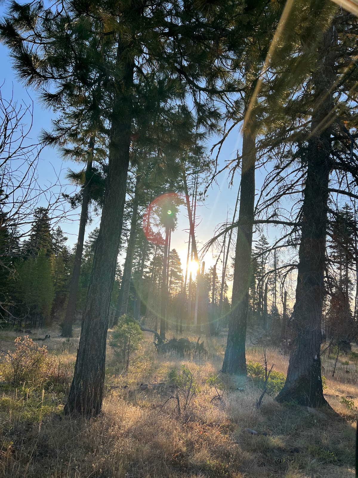 Eightmile Crossing Campground